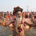 Hindu holy men and pilgrims takes a dip during the Shahi Snan (grand bath) at kumbh mela in Allahabad Uttar Pradesh India