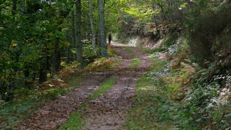El Camino a su paso por Espinosa de los Monteros