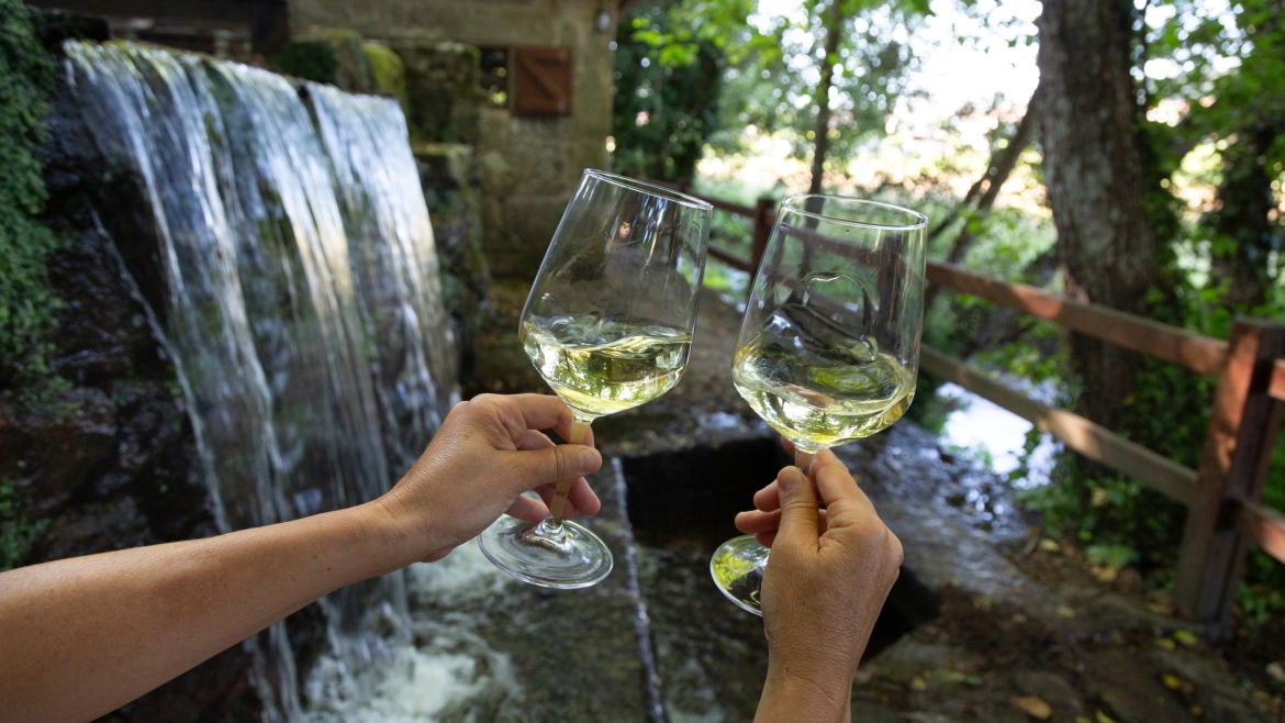 Two glasses of Albariño wine at the Lores mills in Meaño, Pontevedra.