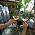 Two glasses of Albariño wine at the Lores mills in Meaño, Pontevedra.
