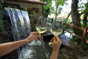 Two glasses of Albariño wine at the Lores mills in Meaño, Pontevedra.