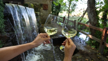 Two glasses of Albariño wine at the Lores mills in Meaño, Pontevedra.