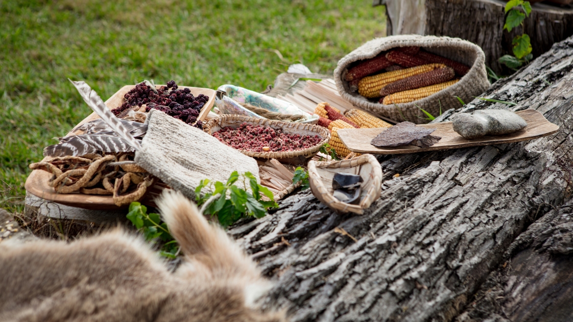 Native American food