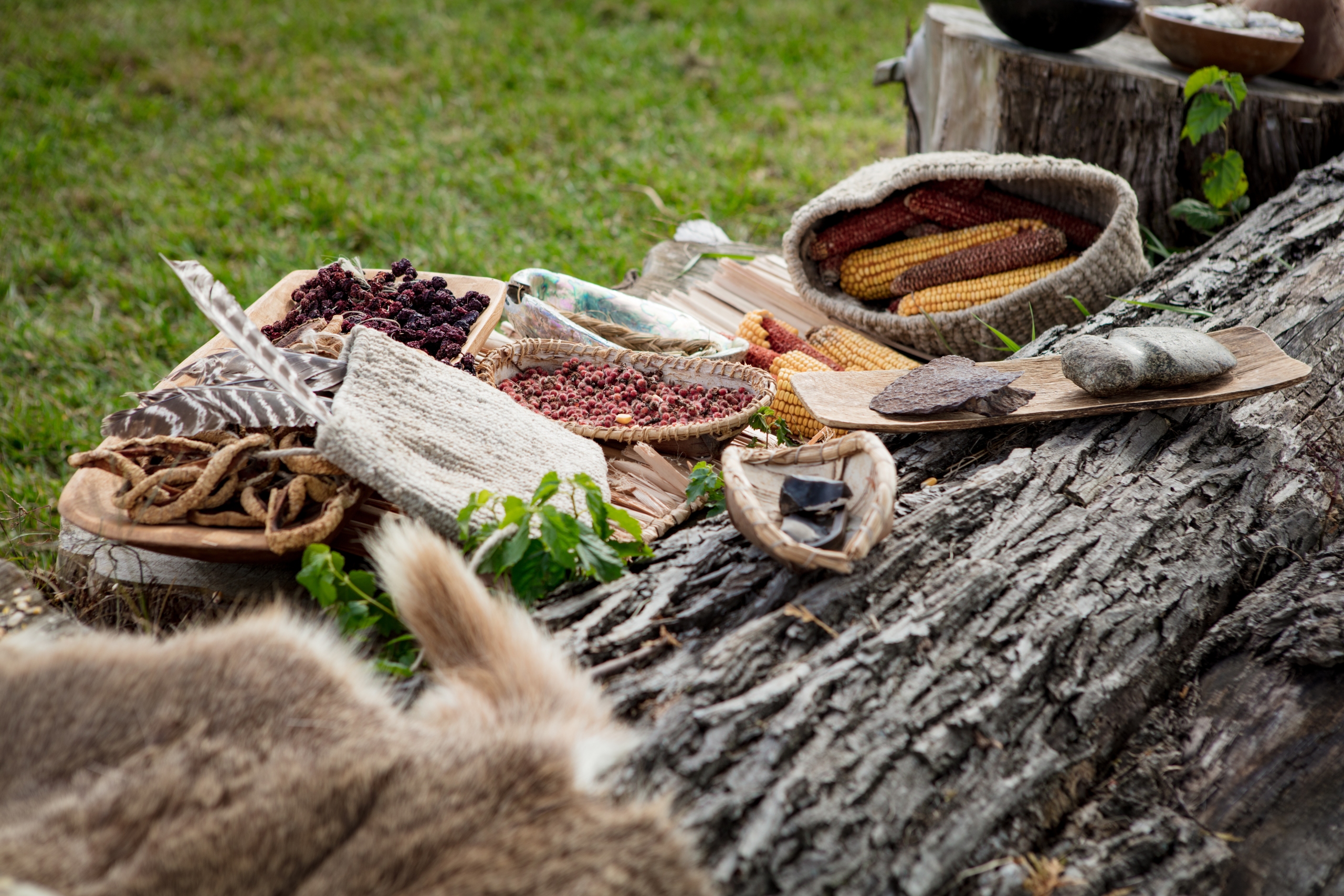 Native American food