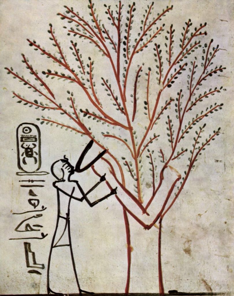 Mystic sycamore tree painted on the tomb of Thutmose III