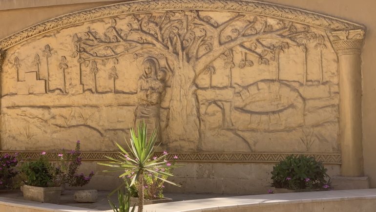 Mary's tree in Cairo
