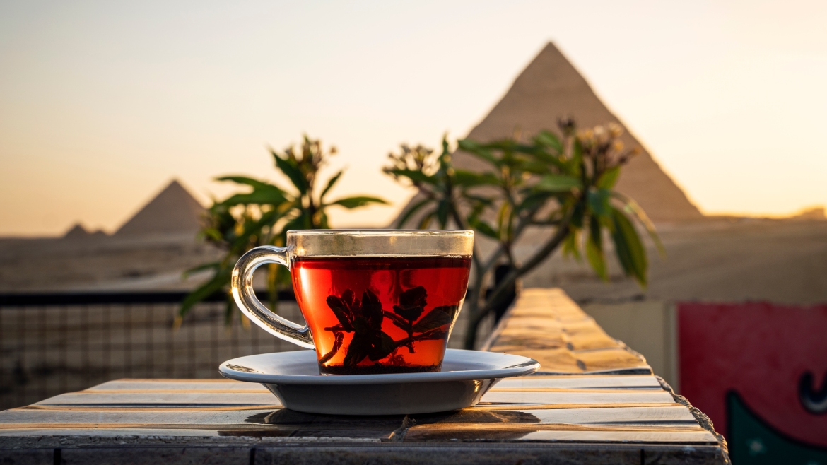 A cup of hibiscus tea in front of the pyramids of Giza