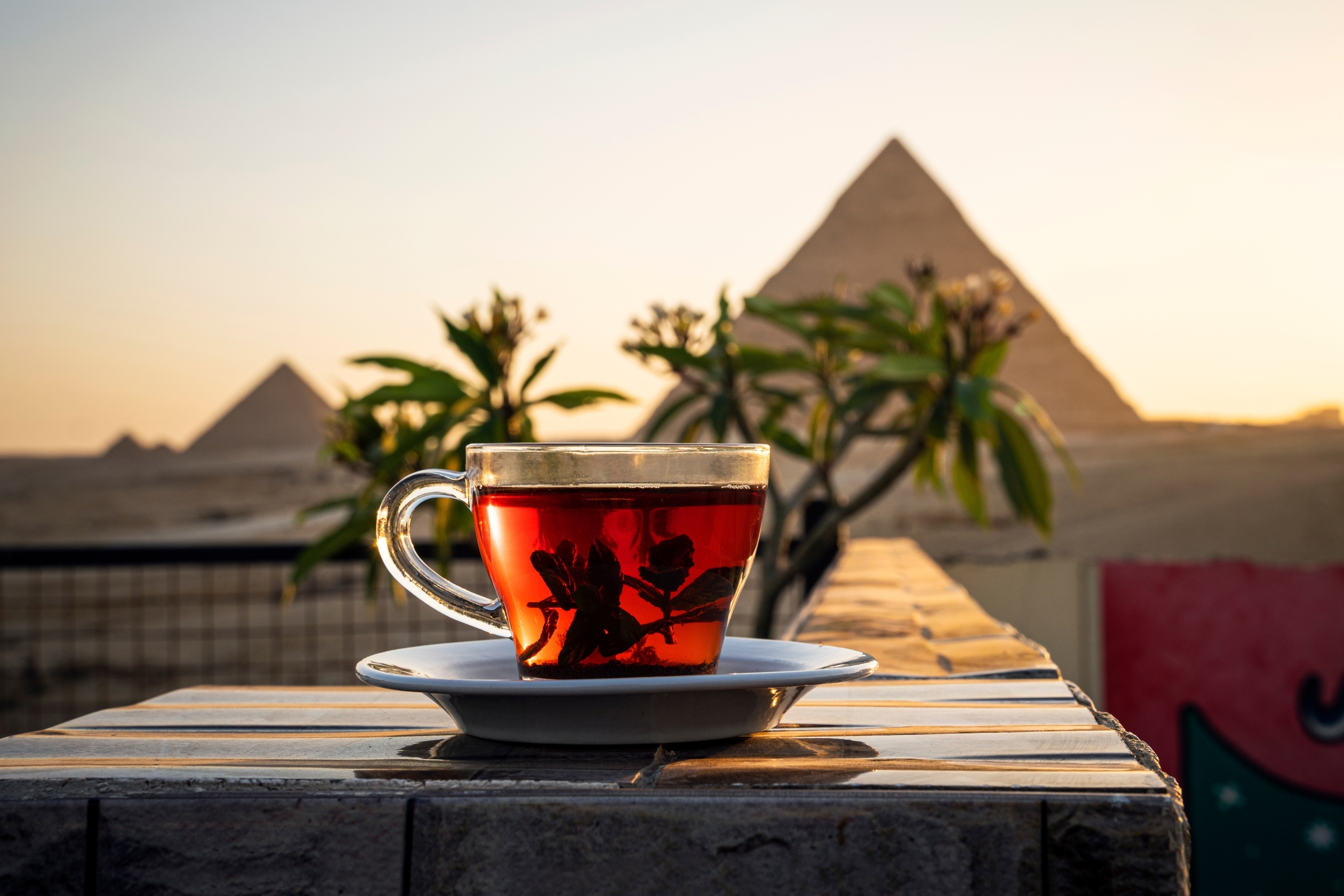 A cup of hibiscus tea in front of the pyramids of Giza