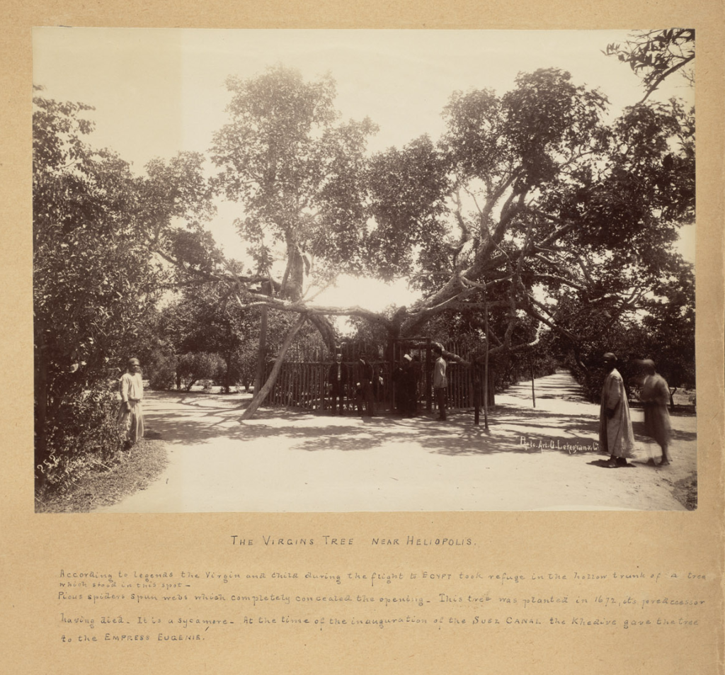 The Virgin’s Tree Near Heliopolis, by William Vaughn Tupper, Boston Public Library