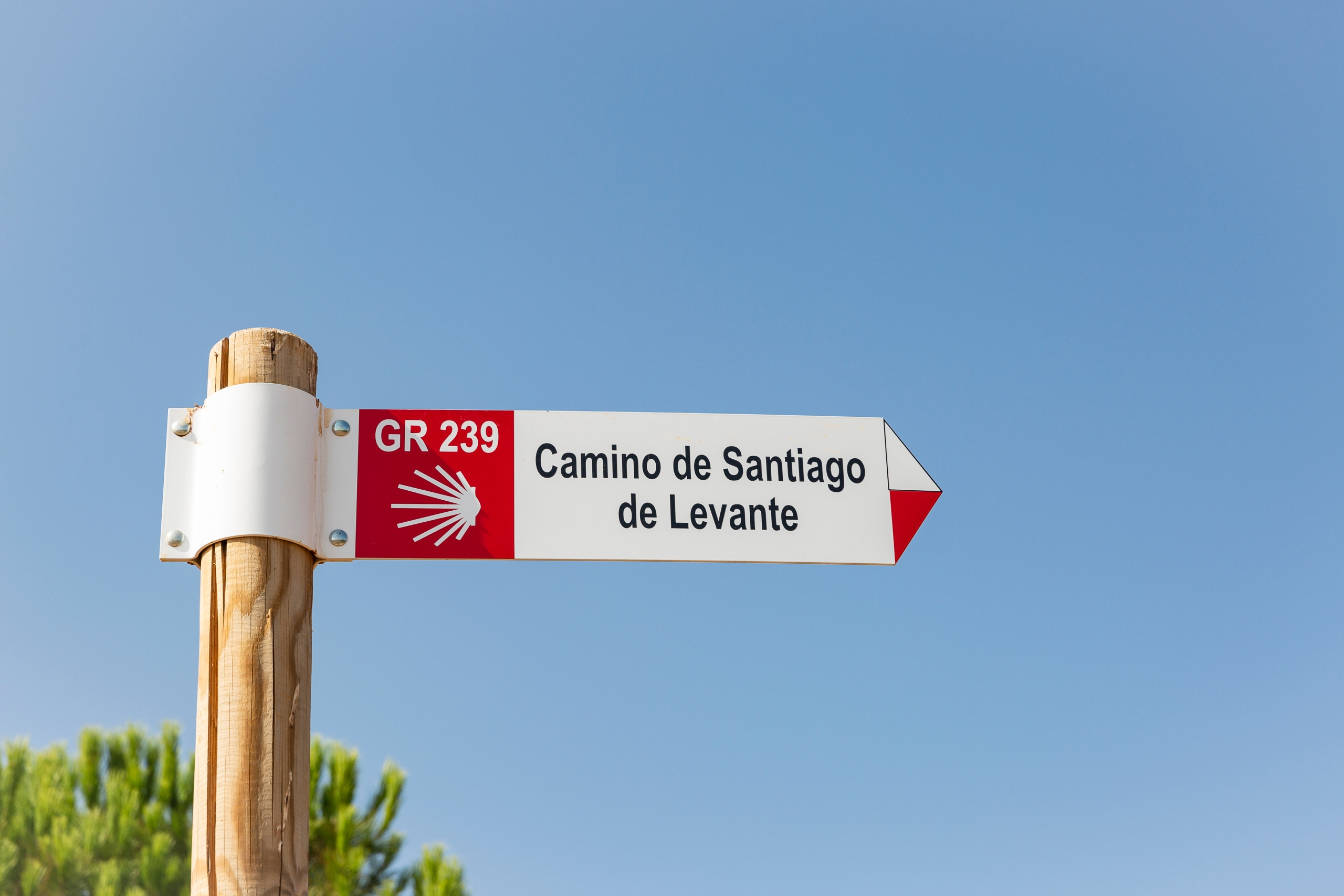 Camino de Santiago de Levante