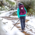 nieve en el camino de Santiago